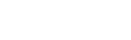 Avi The Gem Guy