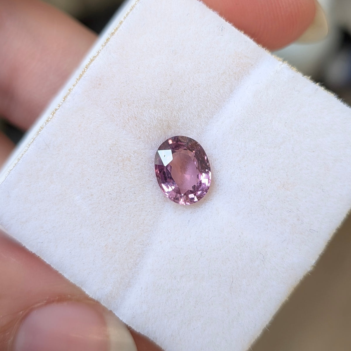 Oval pink sapphire gemstone on white paper, faceted oval cut