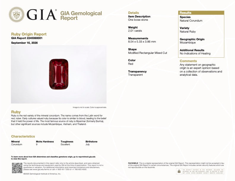 GIA Gemological Report document for ruby, showing details and results