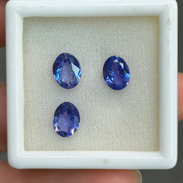 Round blue tanzanite gemstones in white display box, three stones shown