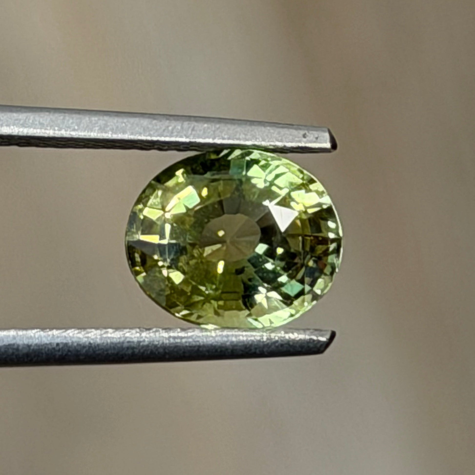 A small oval-cut olive green gemstone held in the jaws of metal tweezers against a soft, blurred beige background.