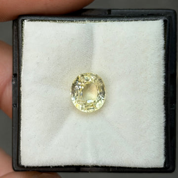 Faceted round yellow sapphire gemstone, 3.31 carats, unheated