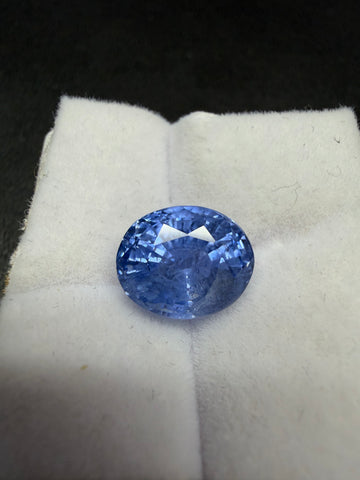 Oval blue sapphire gemstone on white display cushion