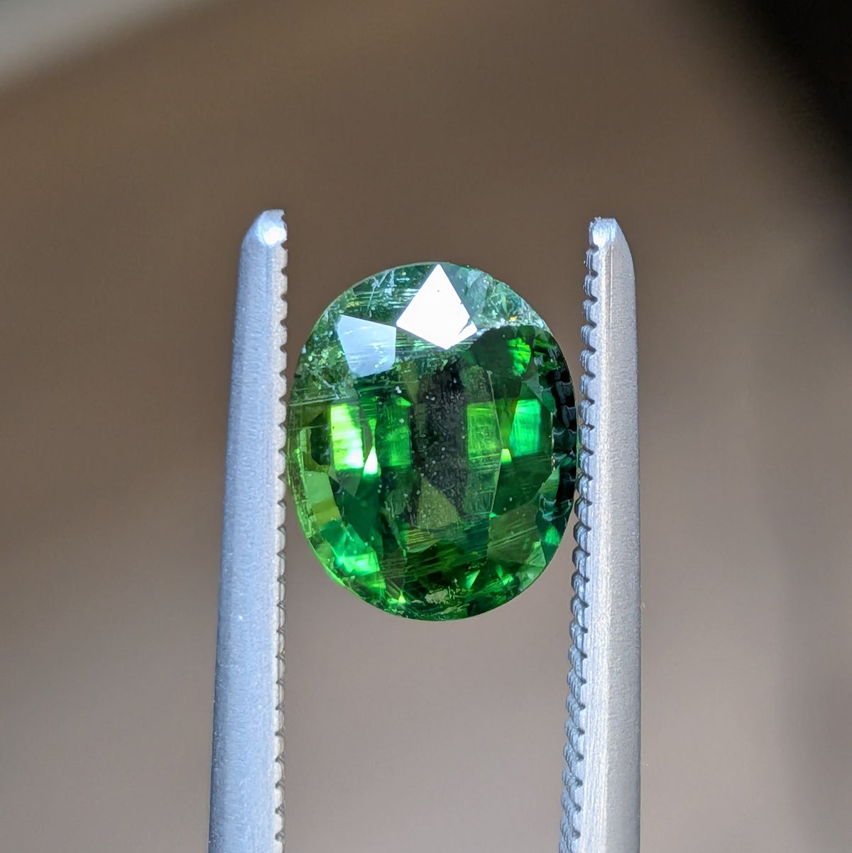 Oval tsavorite gemstone in green, held by metal tweezers