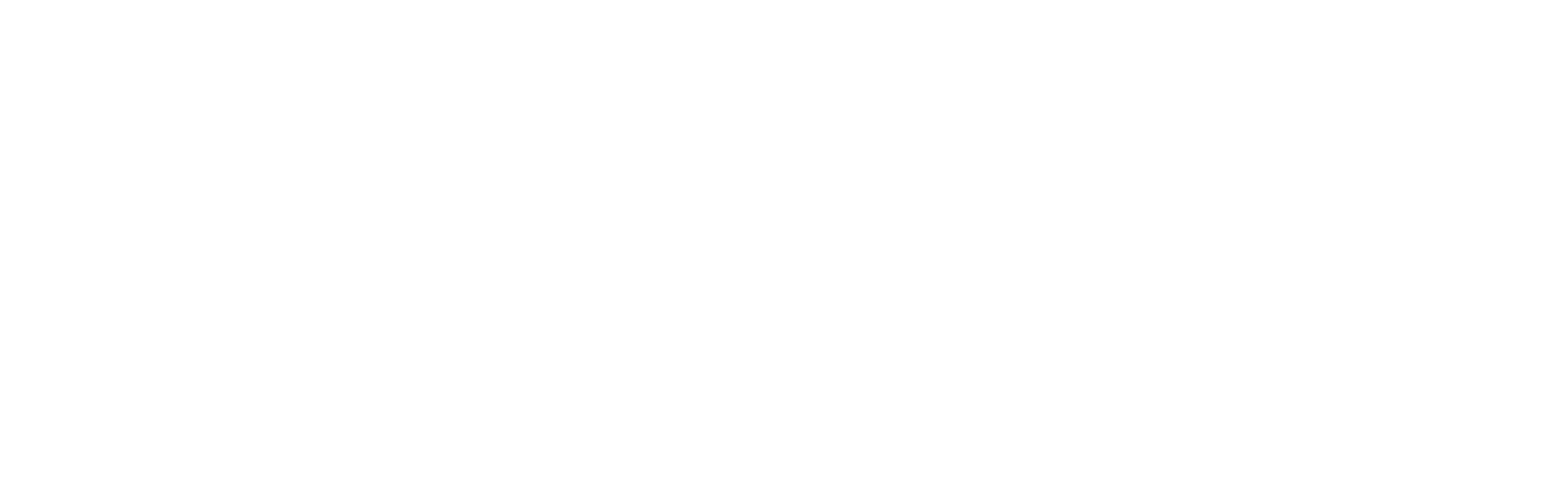 Avi The Gem Guy Logo. Gems, diamonds, fine jewelry.